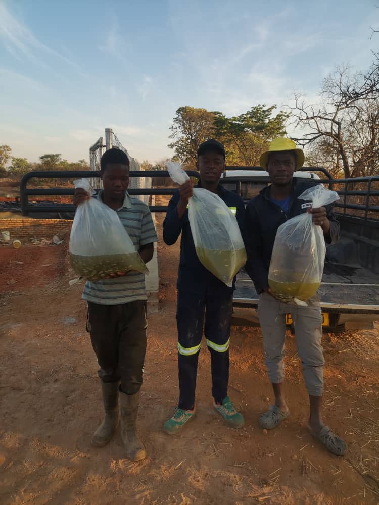 Fish Farming Training